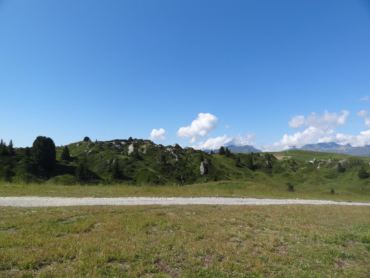 DSC05407